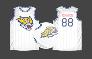 jersey basketball sports team printing
