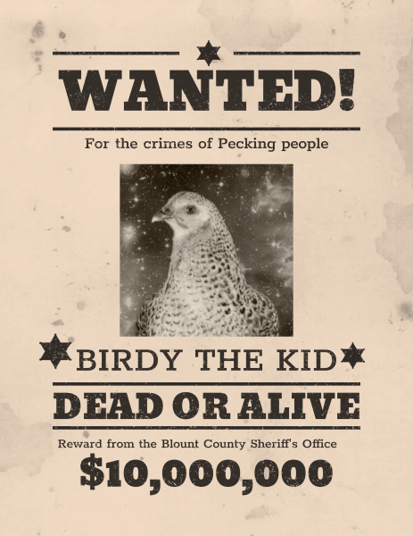 FOR SALE WANTED visual data 7